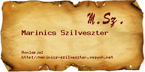 Marinics Szilveszter névjegykártya